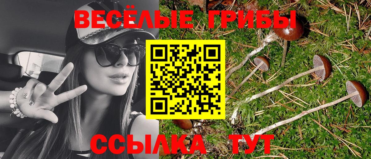 даркнет сайт  Галлюциногенные грибы GOLDEN TEACHER  Вход с VPN  Нефтекамск 